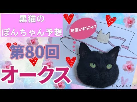 第９弾！【黒ねこ予想】ぽんちゃん予想！ ～ 優駿牝馬(オークス) ～