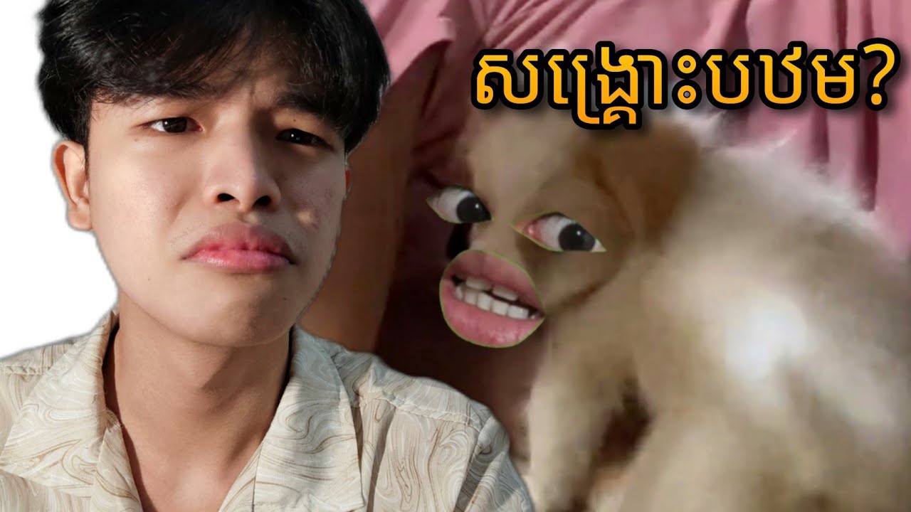ពហុសត្វ បារមីមុខទួលគោក