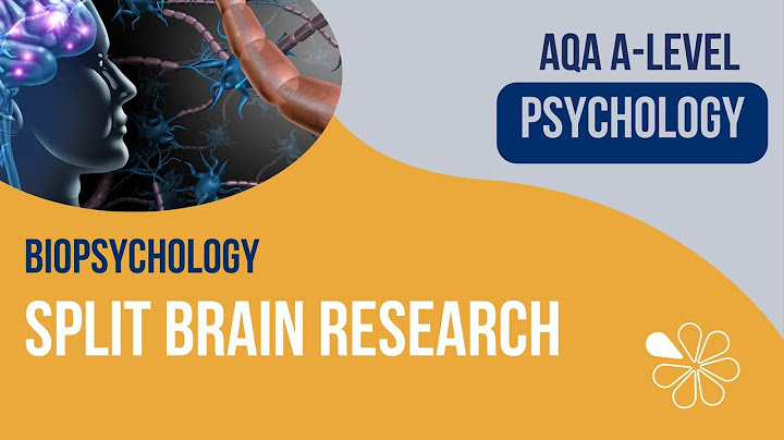 Split Brain Research | Biopsychology | A-Level Psychology