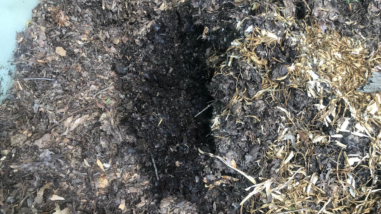 Easiest Compost Method YouTube