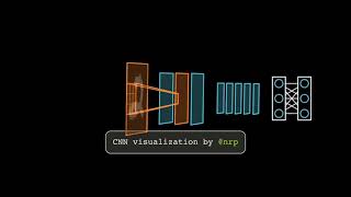 Convolutional Neural Network Visualization Wealth