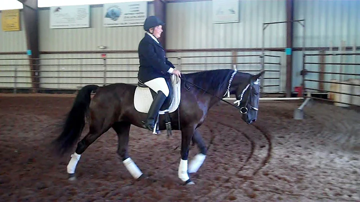 Gaited Dressage Demonstration