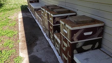 Mating Nucs, Robbing & Summer Drought