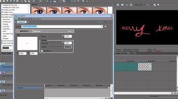 Sony Vegas Tutorial // Text Effect #59