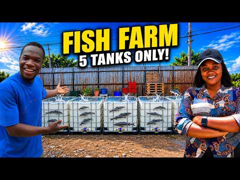 She Started a Backyard Fish Farm With Just 5 Tanks in Nigeria