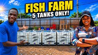 She Started a Backyard Fish Farm With Just 5 Tanks in Nigeria