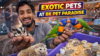 Mannady Pet Market 🔥 Exotic Pets   Rare Animals | BK Pets Paradise Chennai #pets #hamster #petmarket
