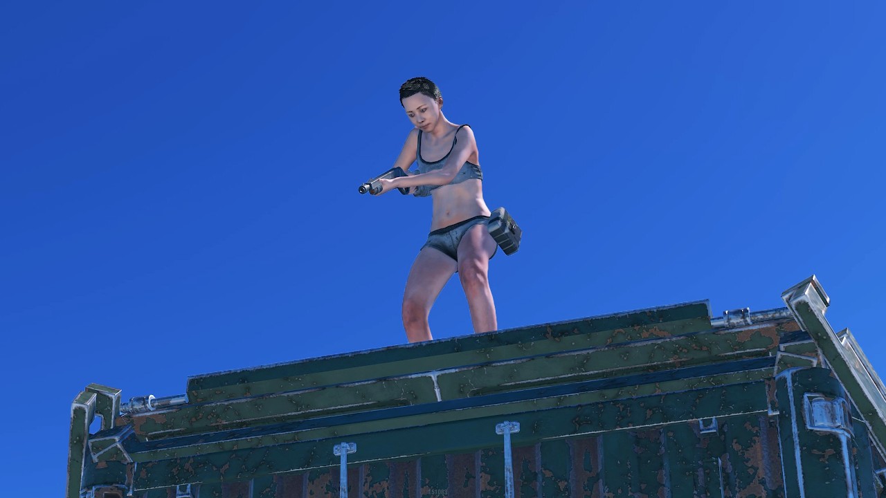 i flew onto their roof...