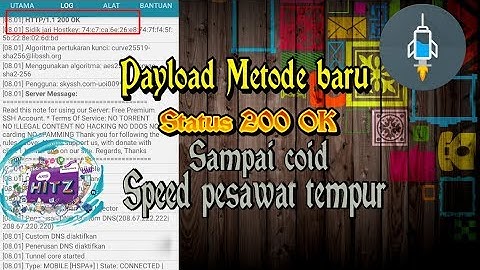 (New) Payload axis hits Methode baru status 200 Ok Fast konek speed liar -all tkp