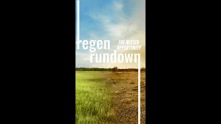 Regen Rundown: The Biggest Missed Opportunity