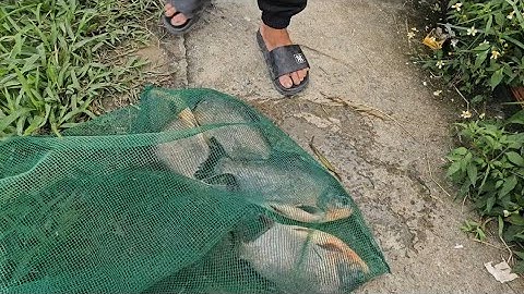 Đi câu cá chim Hồ Thủy Mộc Hóc Môn