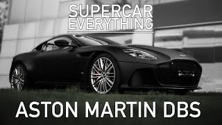 The ONLY Aston Martin DBS Superleggera in India | Exclusive Video | Supercar Everything