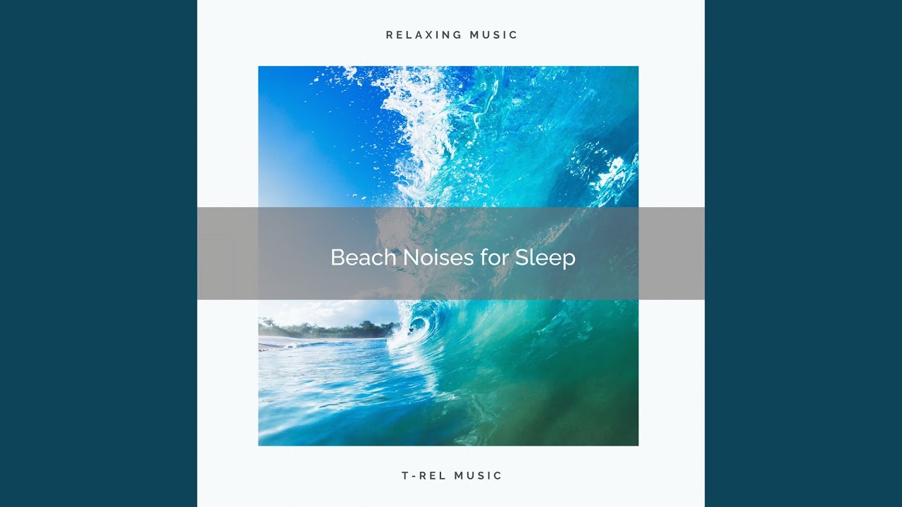 Emerge Yourself in the Calm Waves and Rest with Bird Tweets