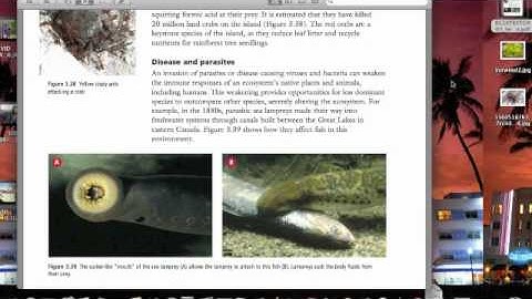 how introduced species affect a ecosystem