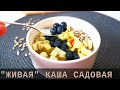 Рецепт каши | Живая каша &quot;Садовая&quot;