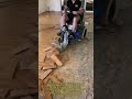 전동 바닥 제거 장비를 활용한 빠르고 효율적인 철거 작업 #FloorRemoval #FloorStripper #DemolitionTools #renovation