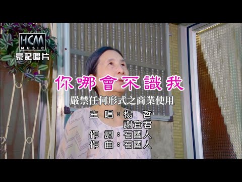 你哪會不識我 楊哲+謝宜君