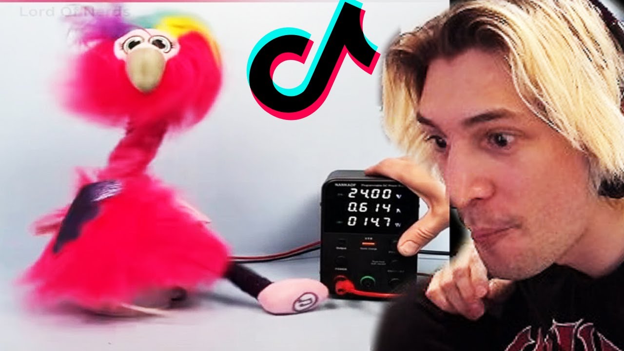 Tik Toks that Cure ADHD for 22 Minutes