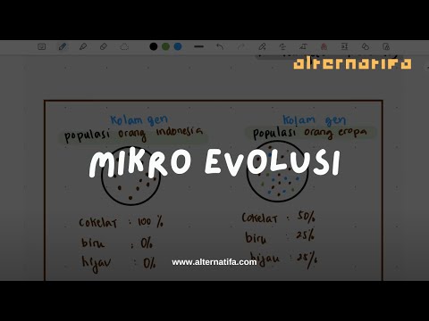 Video: Apa perbedaan antara mikroevolusi dan makroevolusi Apa contoh masing-masing?