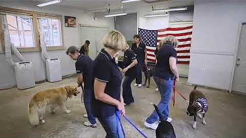 Ralph & friends square dance