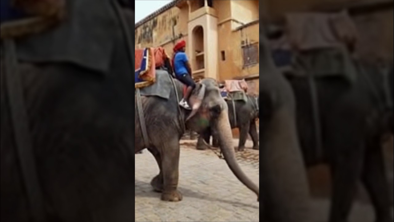 Bihar की BSP लहर से UP में भूचाल! 💙 