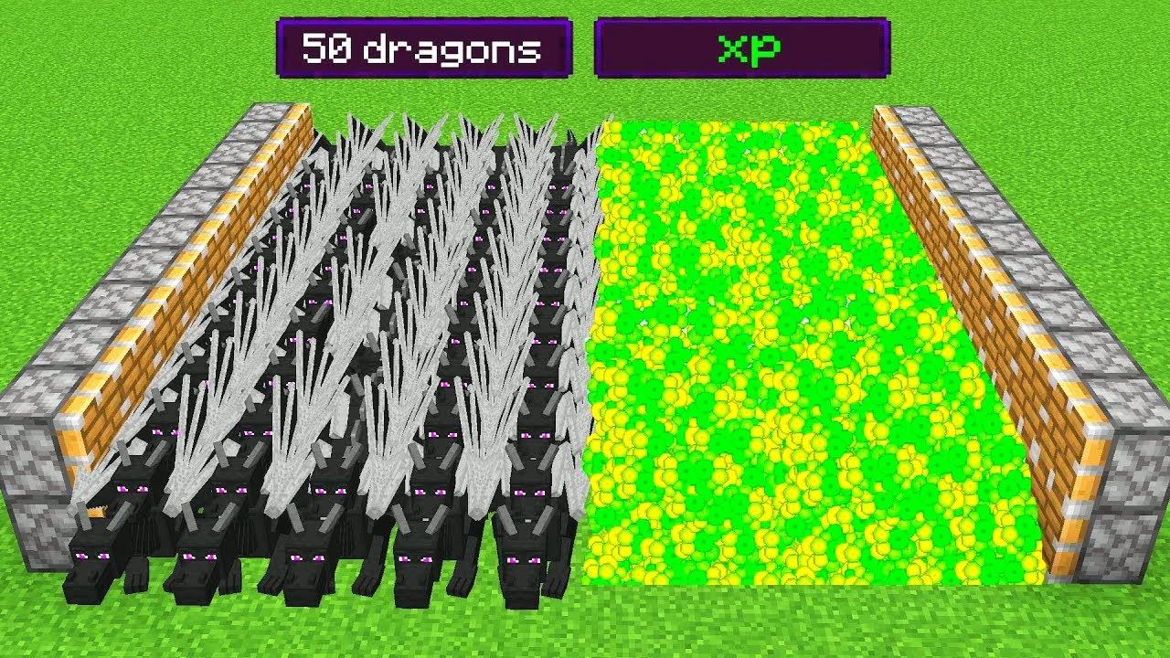 50 ender dragons + 1000 xp = ? / minecraft YouTube