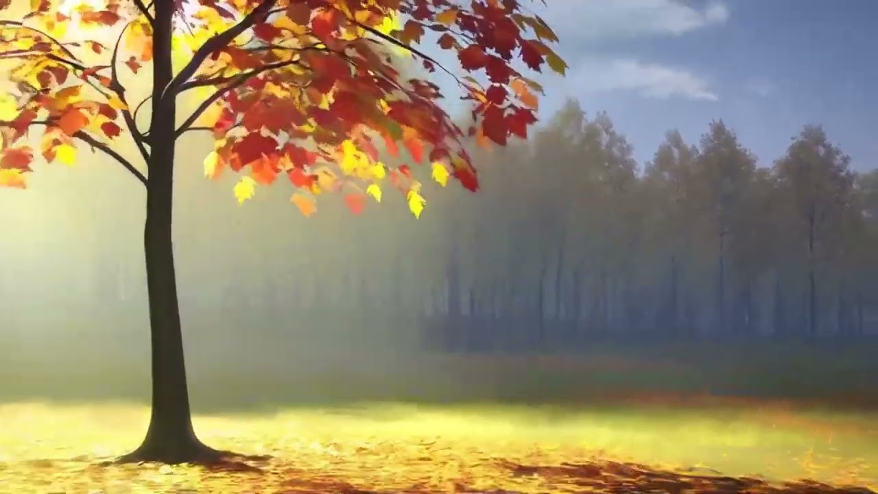 Evening Leaf Drift 🍂 Lofi Anime Chillhop