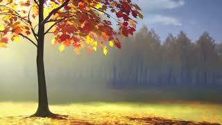 Evening Leaf Drift 🍂 Lofi Anime Chillhop