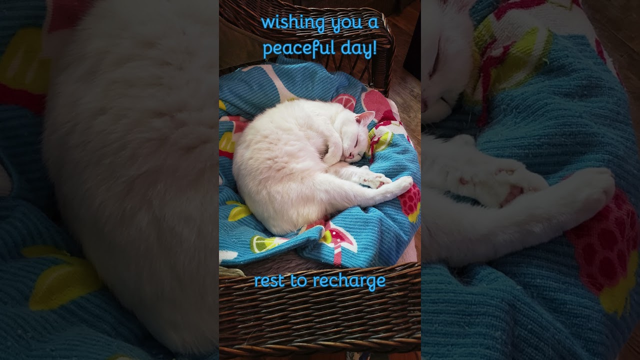 Rest to Recharge  