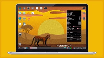 Install Puppy Linux on Old PC | Step-by-Step Guide (2024) | Make Old Computers FAST Again! 🚀