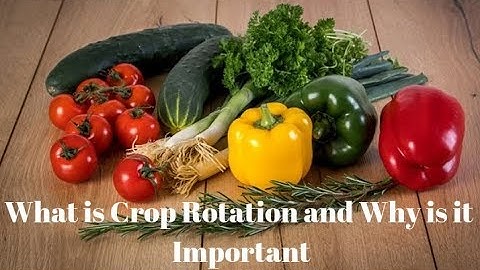 what is crop rotation?