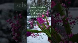 Soğukta Bile Solmayanlar🌺 #keşfet #shortsfeed  #duygusal #huzur #anlamlısözler #söz #güzelsözler
