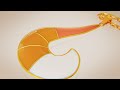 [Miraculous Ladybug] Rena Rouge Necklace[Blender Challenge] / [ミラキュラス レディバグ ]レナルージュ ネックレス[ブレンダー]