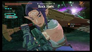 Hyrule Warriors: Age of Imprisonment - Postgame Missions Part 34 (Forbidden) @MetalSmasherGaming