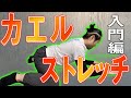 【カエルストレッチ】３つの股関節の予備運動と６つのカエルストレッチ！！クライミングのパフォーマンスアップには欠かせないストレッチです！！