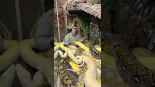 Snake 🐍 والله لو ترمي 10 الف وتحطها بينهم مانزلت screenshot 2