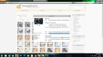 Como subir imagenes al foro a través de ImageShack.mp4