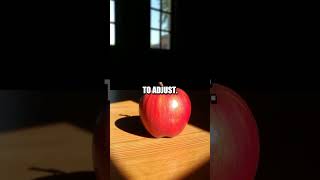 Celebrity Mind Tricks: The Fascinating Science of Color Constancy Net Worth