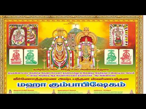 LIVE: மகா கும்பாபிஷேகம்  ஆதி அருணாசலேஸ்வரர் திருக்கோயில்  திருவண்ணாமலை 2.06.26