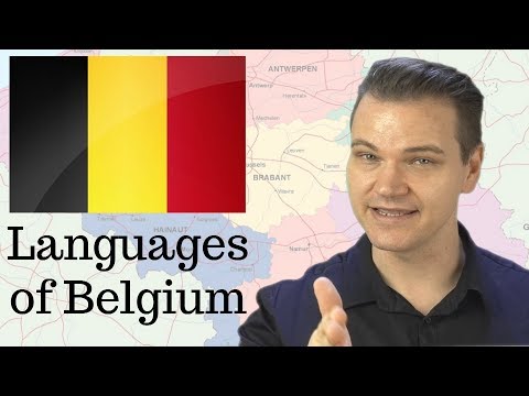 Video: Welke twee talen worden over het algemeen gesproken in België?