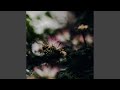 In Bloom