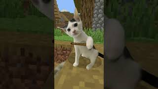 “When Cats Invade Minecraft 🐱⛏️ | Funniest Cat Moments in the Blocky World”