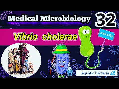 شرح تشخيص وأعراض بكتيريا الكوليرا  