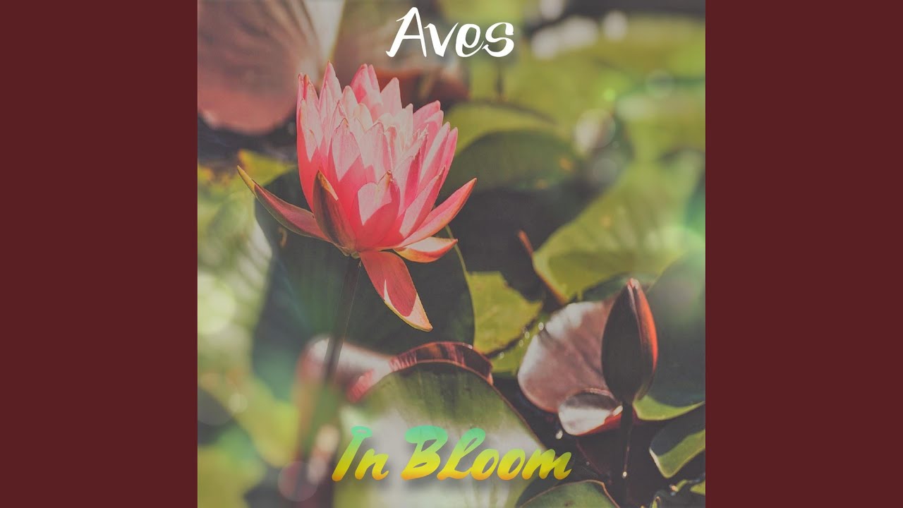 Watch In Bloom on YouTube Watch In Bloom on YouTube