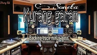 Kurang garam - Rhoma irama || Backing track tanpa bass