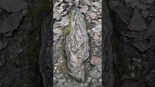 Serenity By Jarun Lake A Peaceful Walk In Zagreb