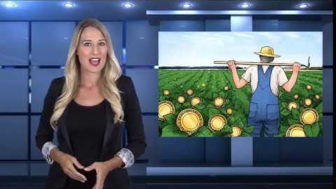 Croatia Launches Self Regulating Blockchain Organization Amidst Growing Worldwide Trend