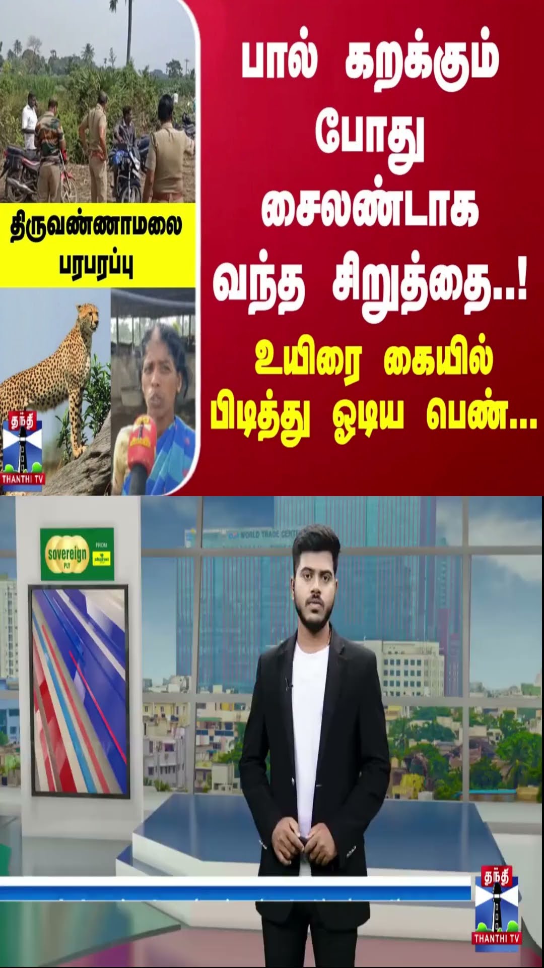 பால் கறக்கும் போது சைலண்டாக வந்த சிறுத்தை! உயிரை கையில் பிடித்து ஓடிய பெண்... திருவண்ணாமலை பரபரப்பு