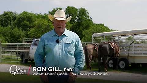 BQA Tip - Gate Safety with Dr. Ron Gill
