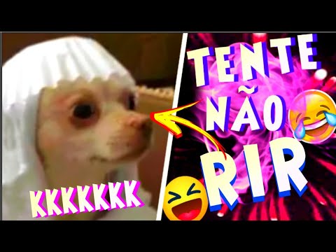 TENTE NÃO RIR NÍVEL HARD / Melhores Memes e VÍDEOS ENGRAÇADOS pra vc RIR MUITO😉